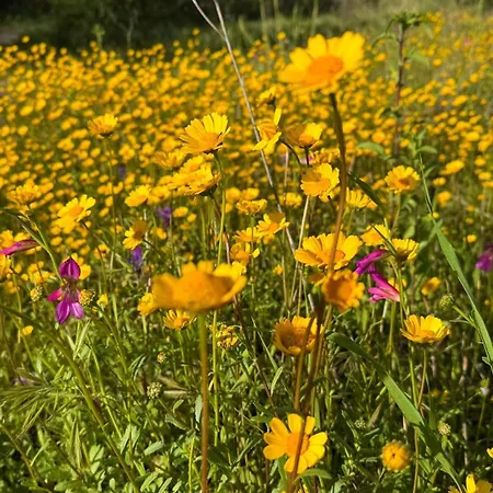 شقة Casa Bela Vista & The Boathouse - Holidays In Paradise