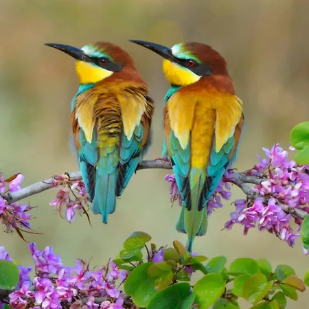 Apartament Casa Bela Vista & The Boathouse - Holidays In Paradise Loulé