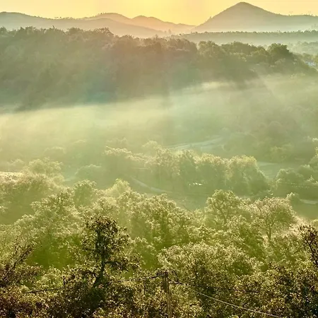 Casa Bela Vista & The Boathouse - Holidays In Paradise * Loulé